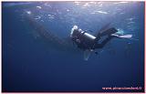 Filippine 2015 Dive Boat Pinuccio e Doni - 231